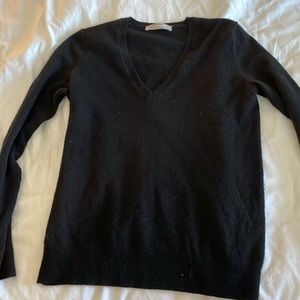 Everlane vneck sweater